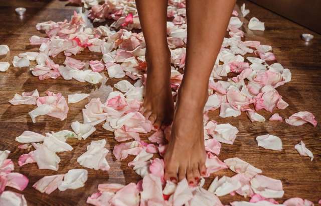 Прекрасная роза